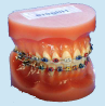Orthodontie